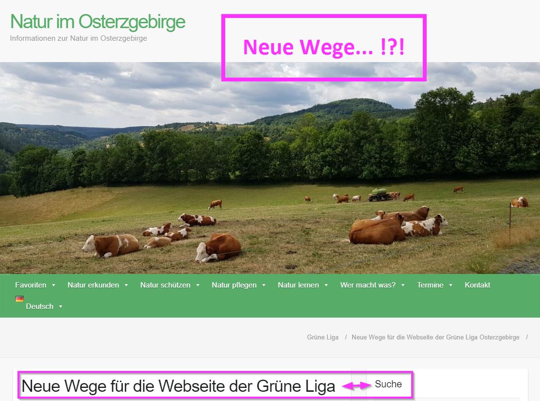 Neue Wege für die Webseite der Grüne Liga Osterzgebirge