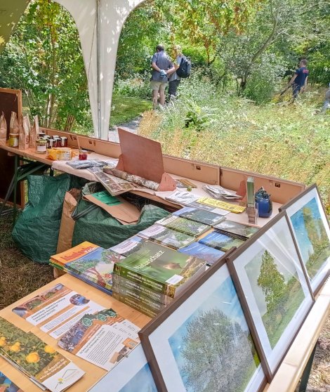 Rückblick: Infostand beim Fest des Botanischen Gartens