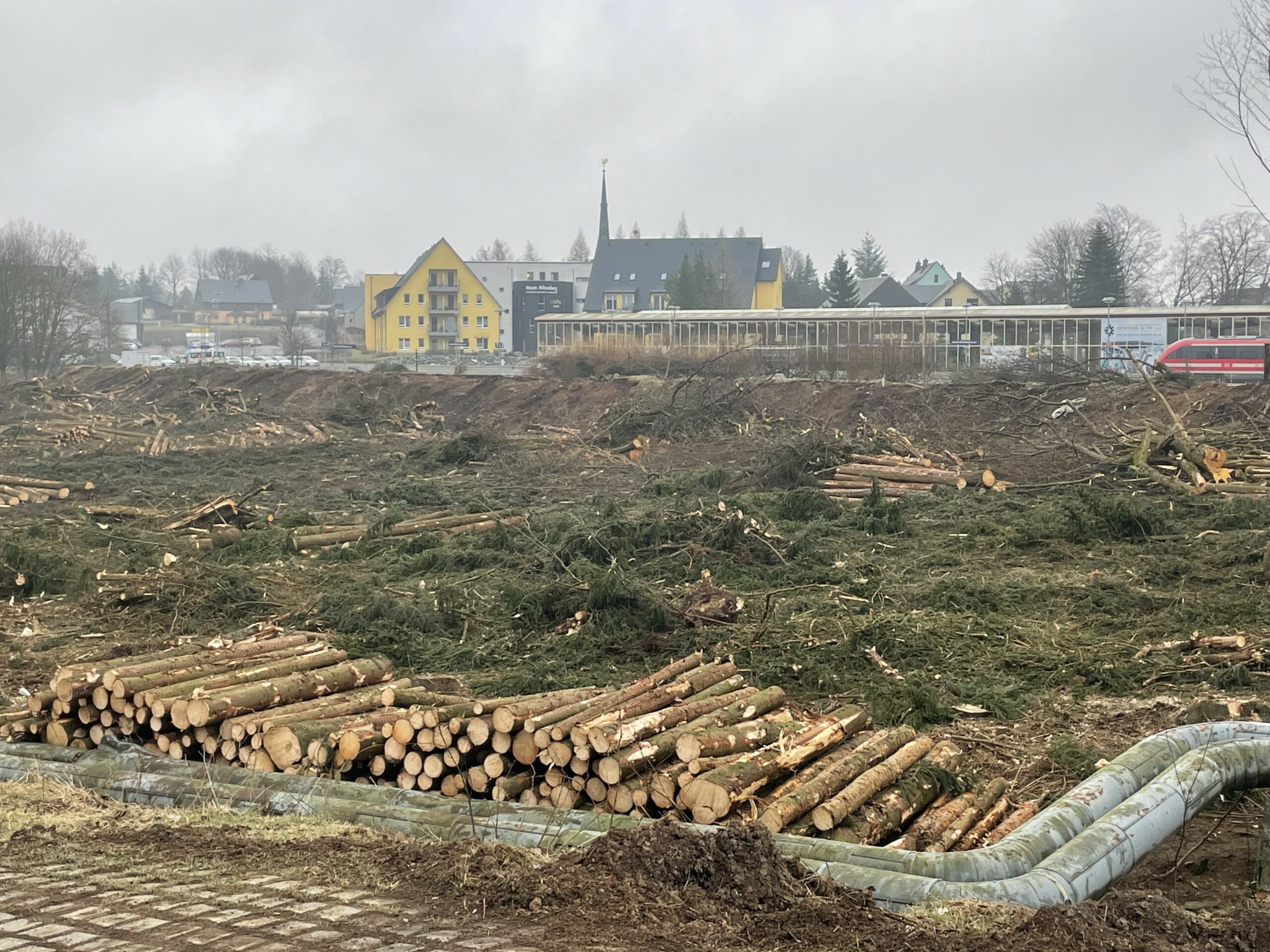 Altenberg vor der Wahl