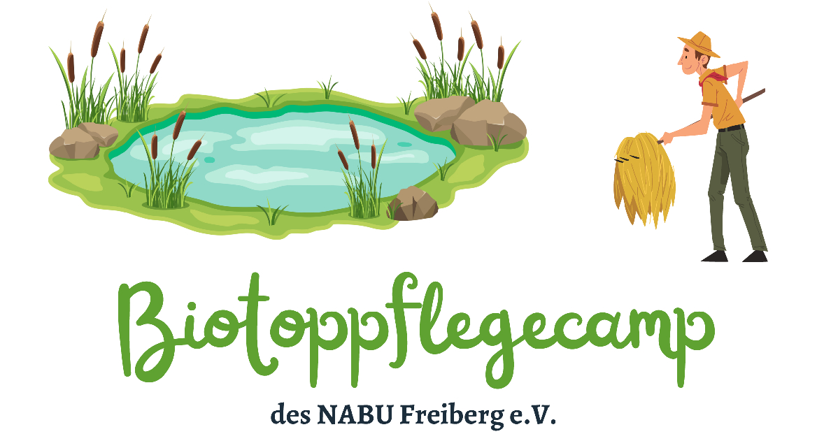 Freiberger Biotoppflegecamp 2024