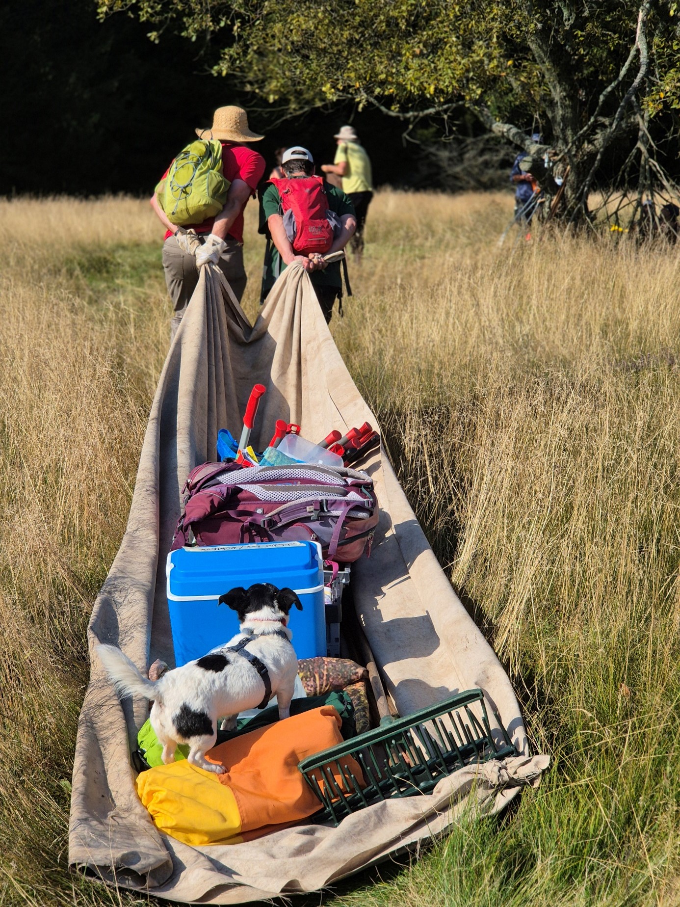 10 Jahre Heuhoj-Camp – gelungene Woche, viel Glück im Gepäck und Mitmachen gewünscht!