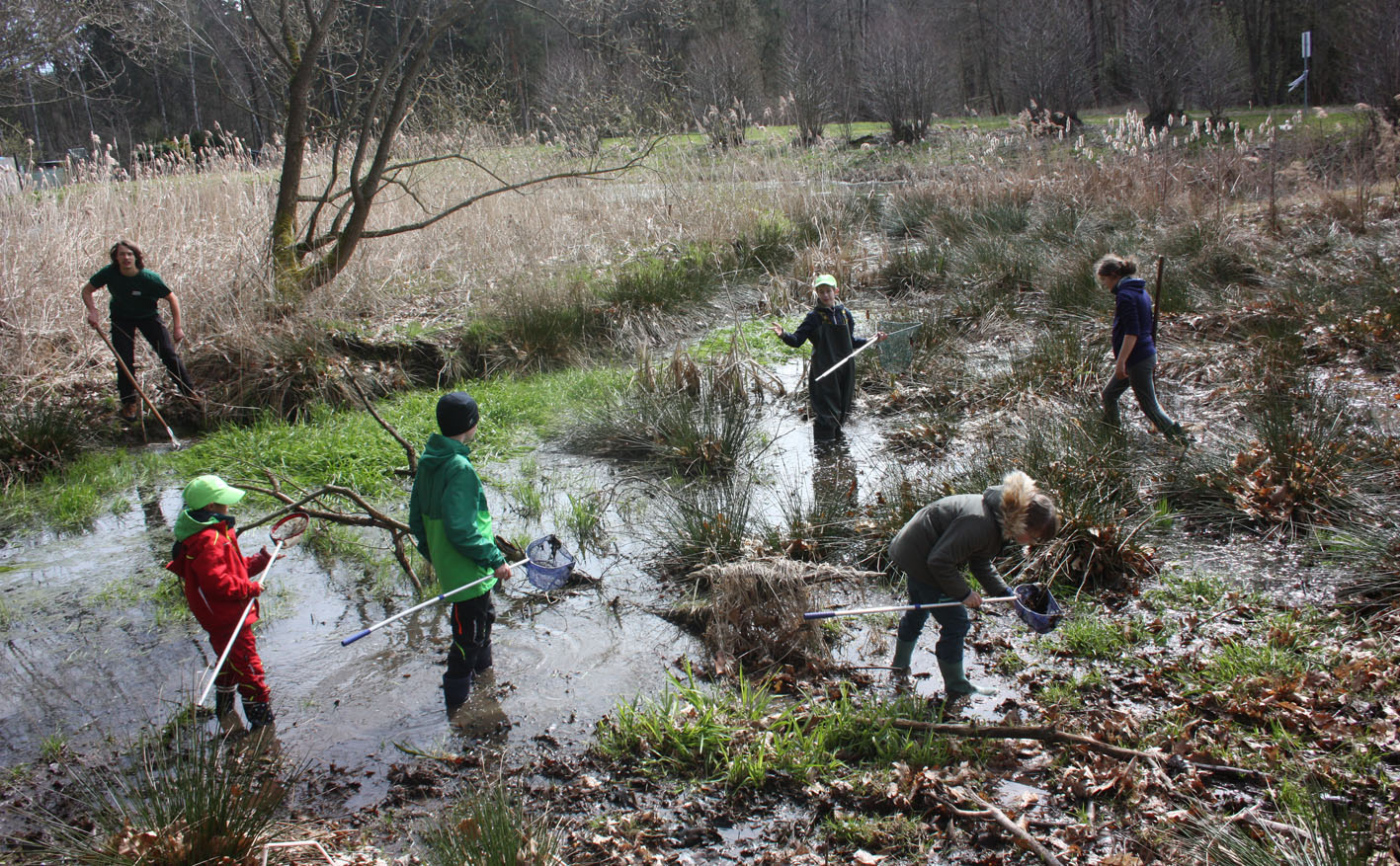 Naturschutzeinsätze des NABU Freiberg im Oktober