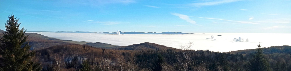 Natur im Osterzgebirge