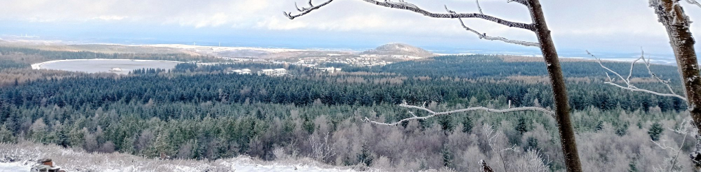 Natur im Osterzgebirge