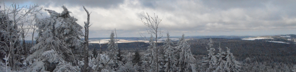 Natur im Osterzgebirge