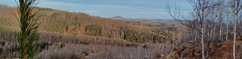 Natur im Osterzgebirge