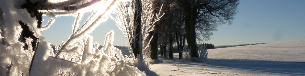 Natur im Osterzgebirge