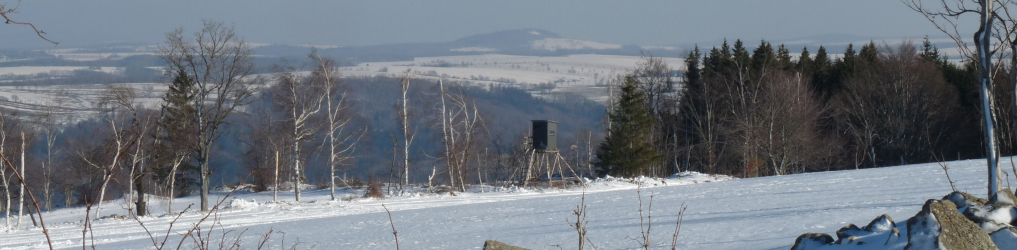 Natur im Osterzgebirge