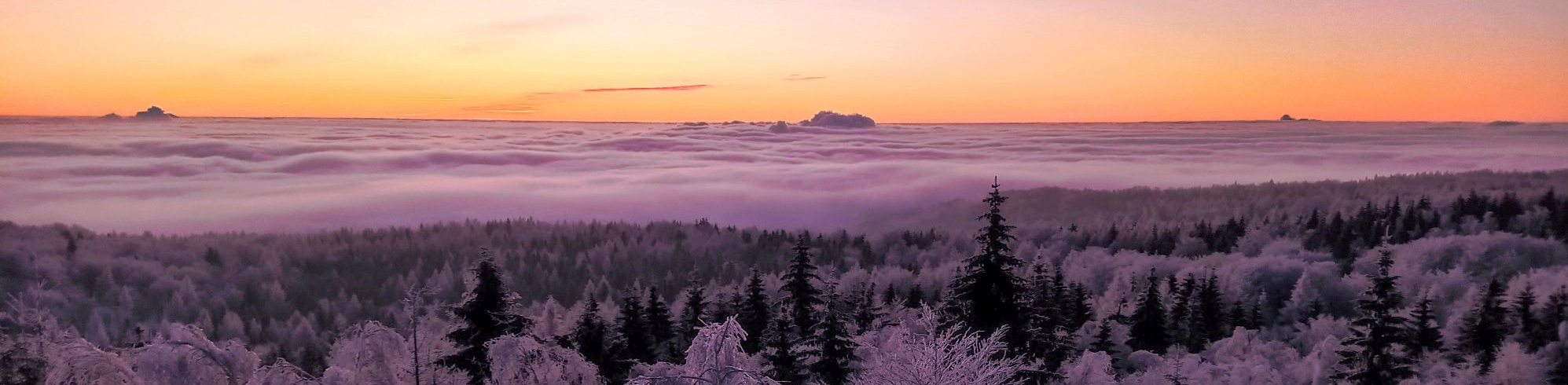 Natur im Osterzgebirge