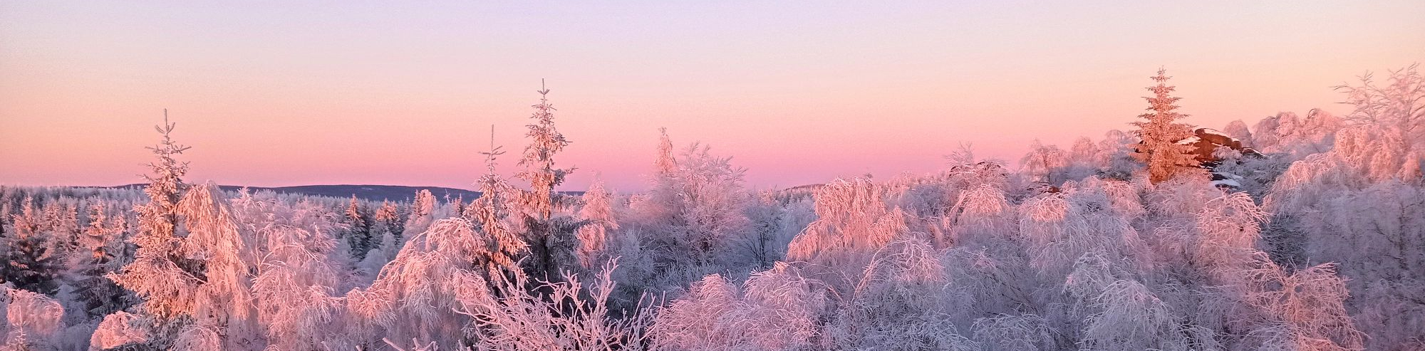 Natur im Osterzgebirge