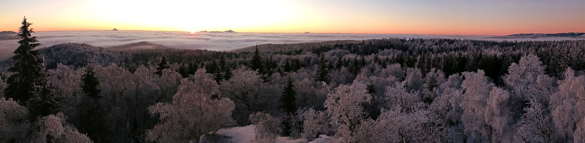 Natur im Osterzgebirge