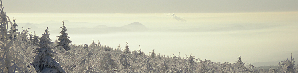 Natur im Osterzgebirge