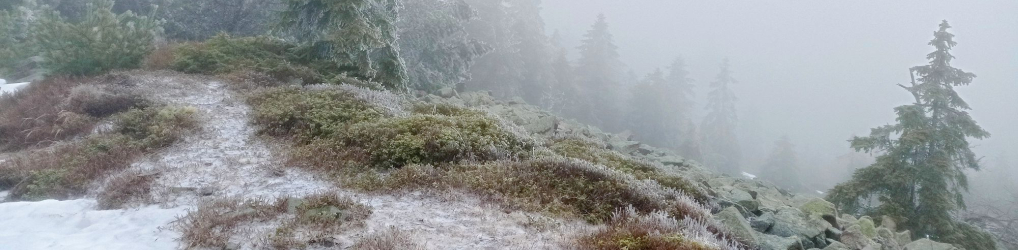 Natur im Osterzgebirge