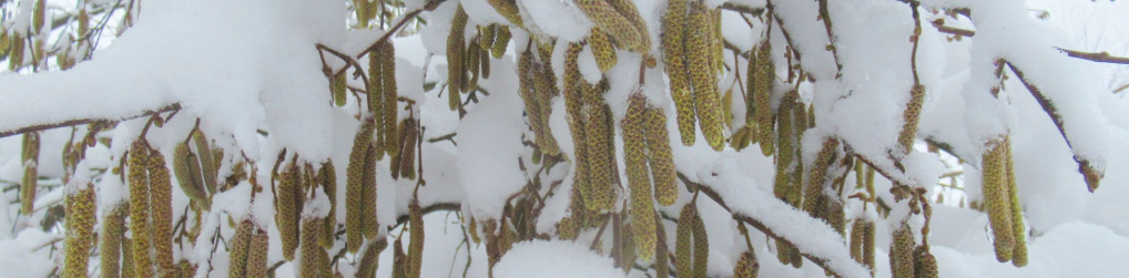 Natur im Osterzgebirge