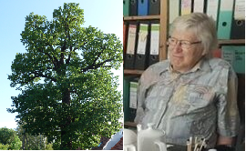 Gemeinsam einen Baum für Wolfgang Rudolph pflanzen