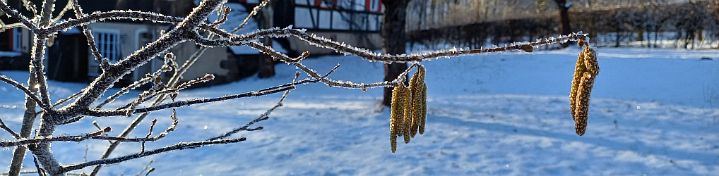 Natur im Osterzgebirge