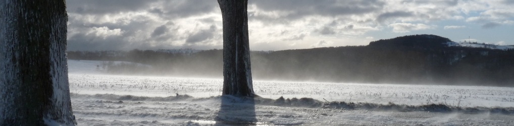 Natur im Osterzgebirge