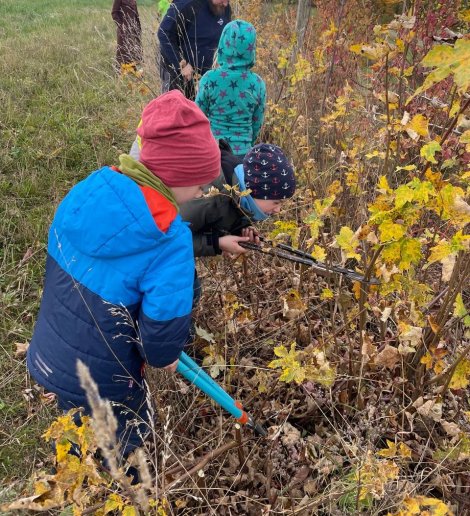 Hecken-Einsatz der Jungen Naturwächter – Rückblick
