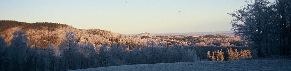 Natur im Osterzgebirge