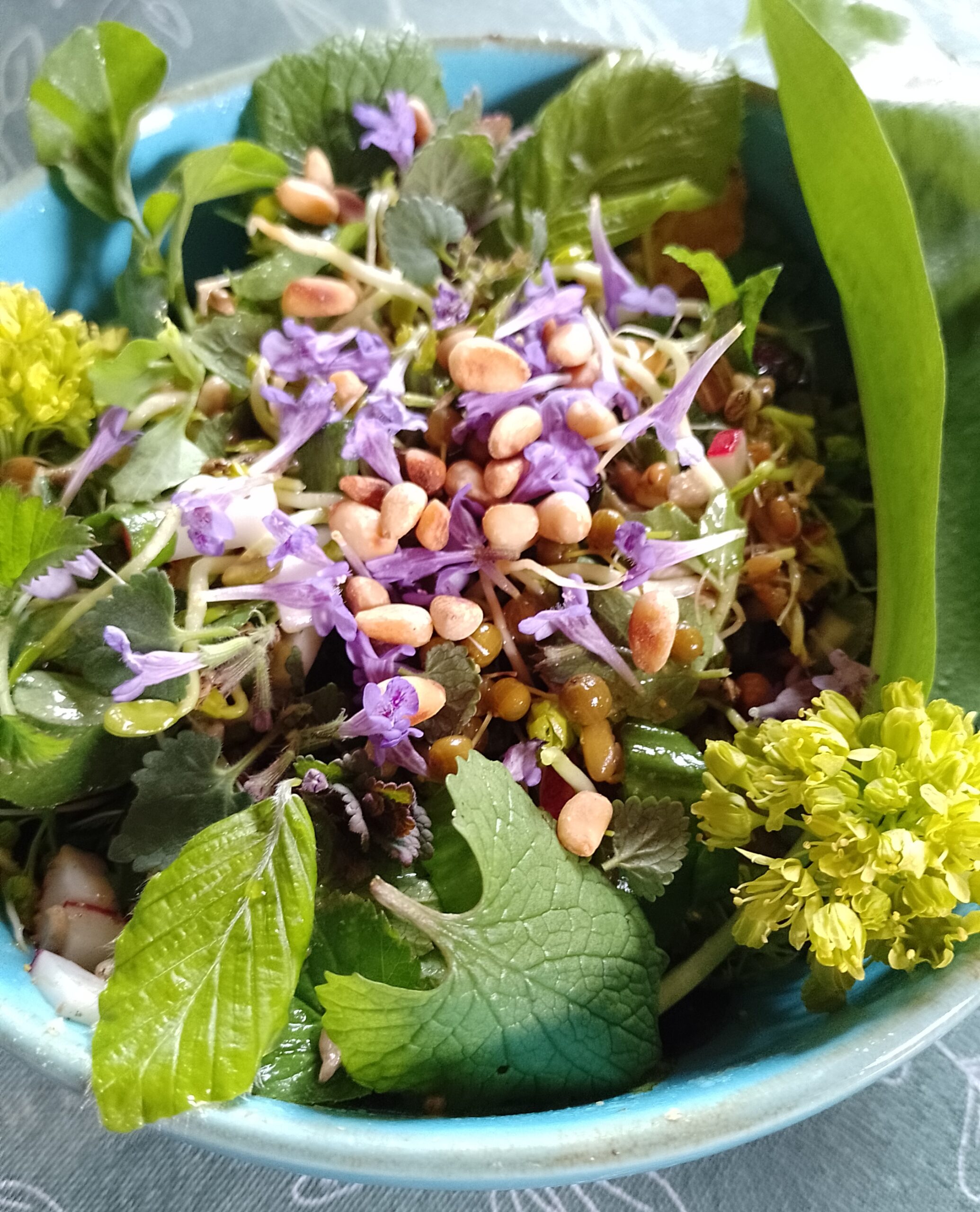 Die Kraft der Natur auf unseren Tellern