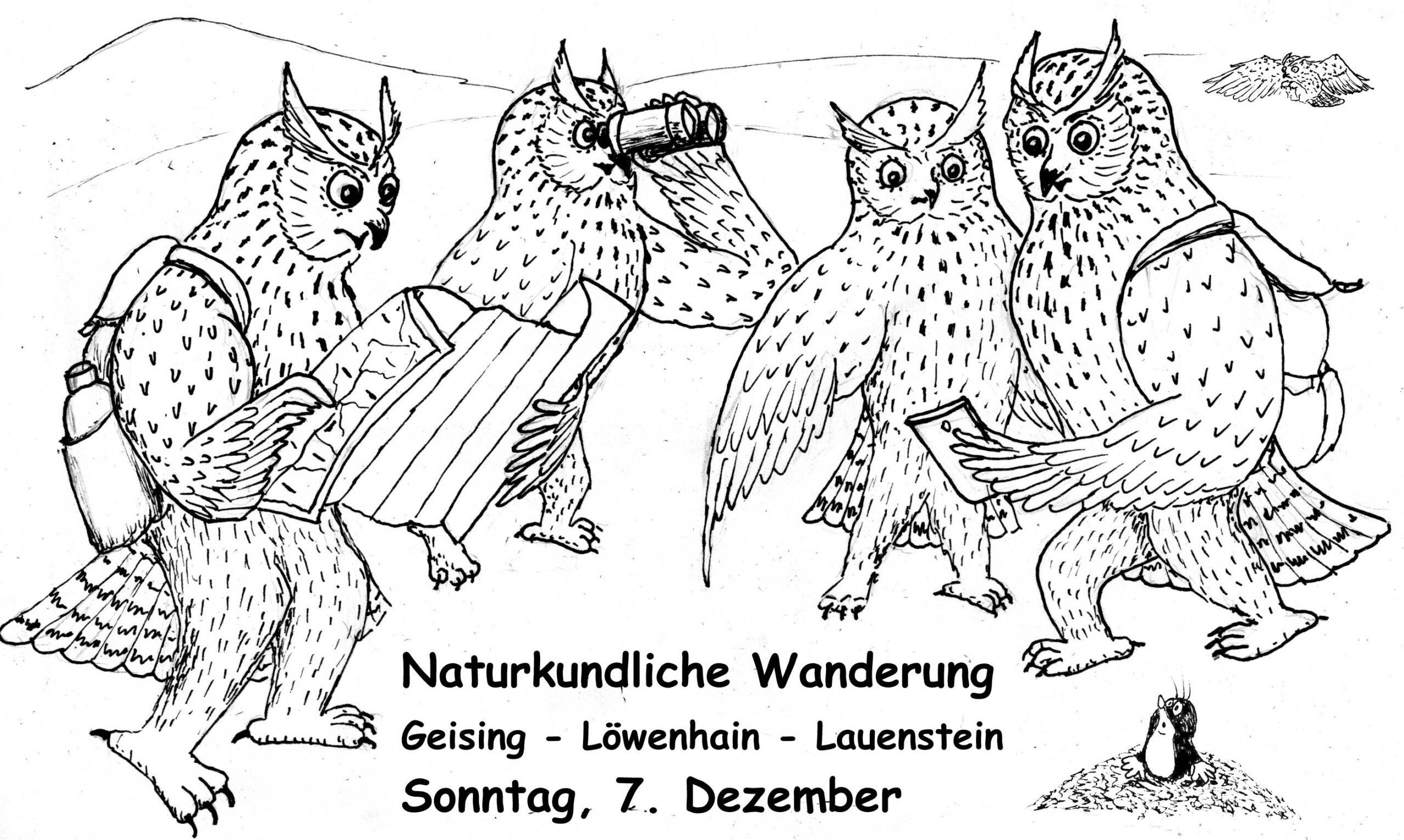 Naturkundliche Adventswanderung über die Löwenhainer Höhe Naturkundliche Adventswanderung über die Löwenhainer Höhe