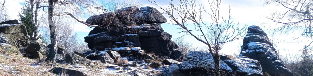 Natur im Osterzgebirge