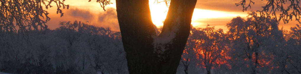 Natur im Osterzgebirge