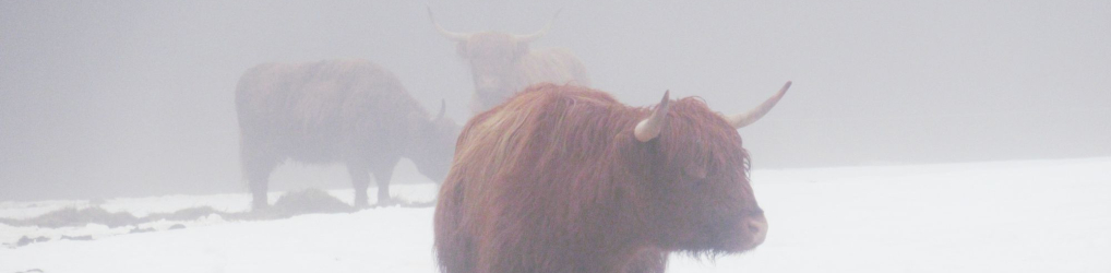 Natur im Osterzgebirge