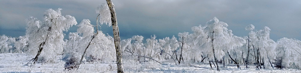 Natur im Osterzgebirge