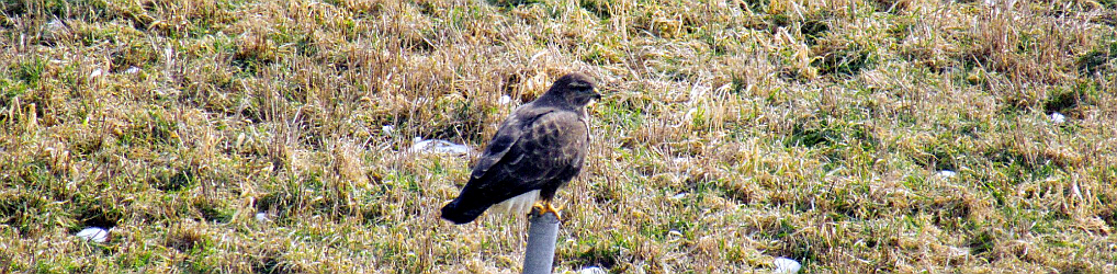 Natur im Osterzgebirge
