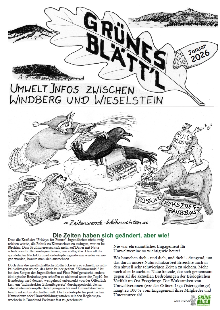 Grünes Blätt’l 01/2026 – Jahresend-Blätt’l