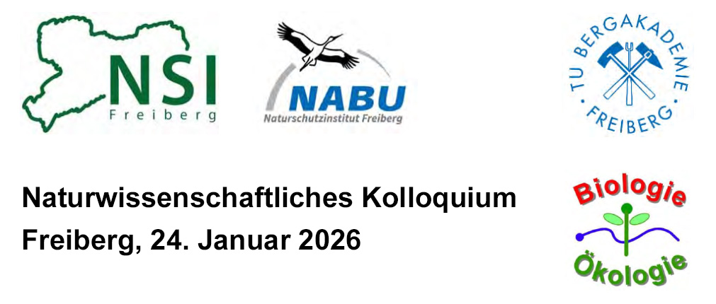 Veranstaltungseinladung des NSI Freiberg Veranstaltungseinladung des NSI Freiberg