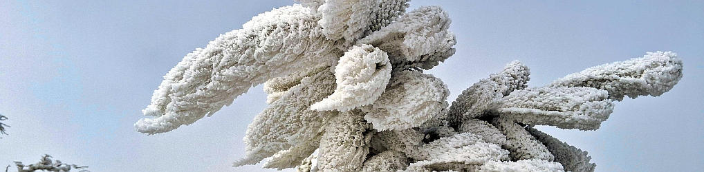 Natur im Osterzgebirge