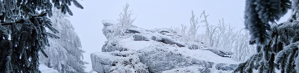 Natur im Osterzgebirge