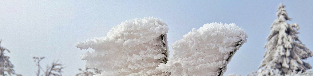 Natur im Osterzgebirge
