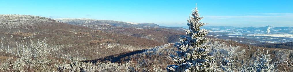 Natur im Osterzgebirge