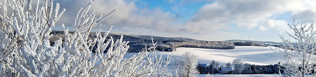 Natur im Osterzgebirge