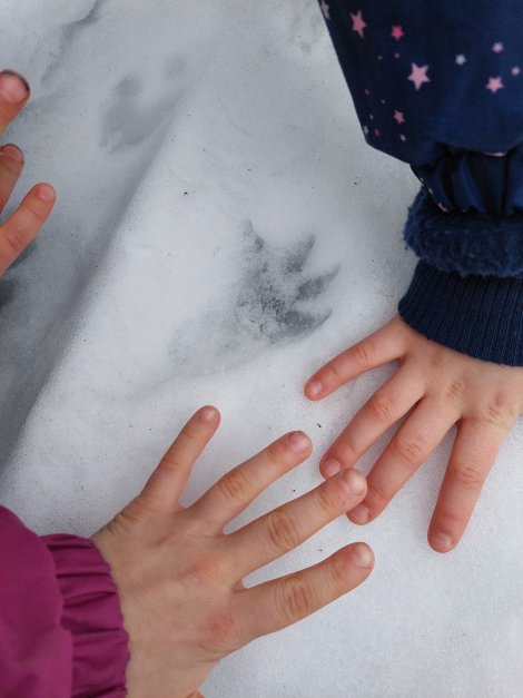 Rückblick: Junge Naturwächter am Biber-Bau Rückblick: Junge Naturwächter am Biber-Bau