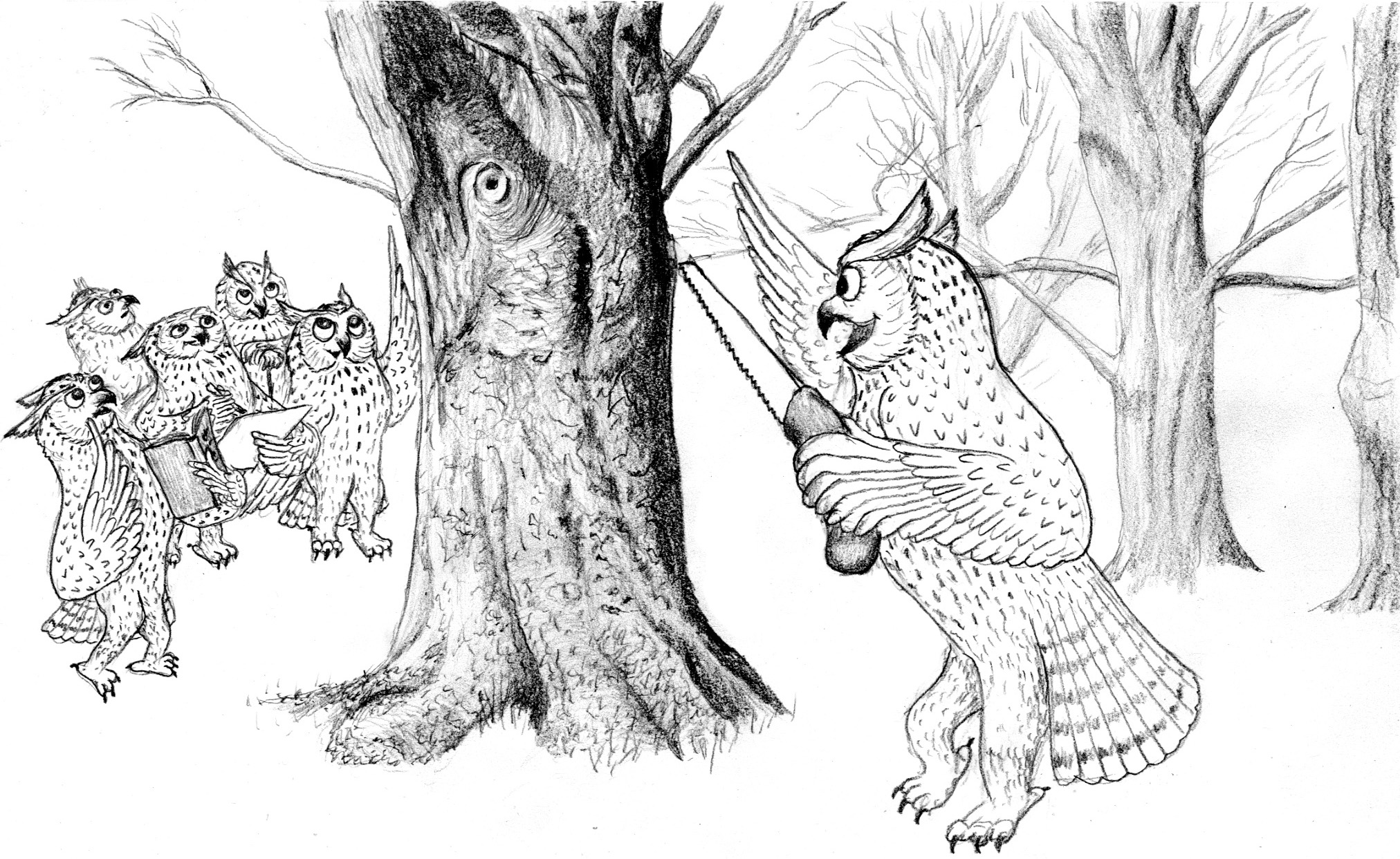 Praxisseminar Baumdenkmalpaten am Sonnabend, 21. März,