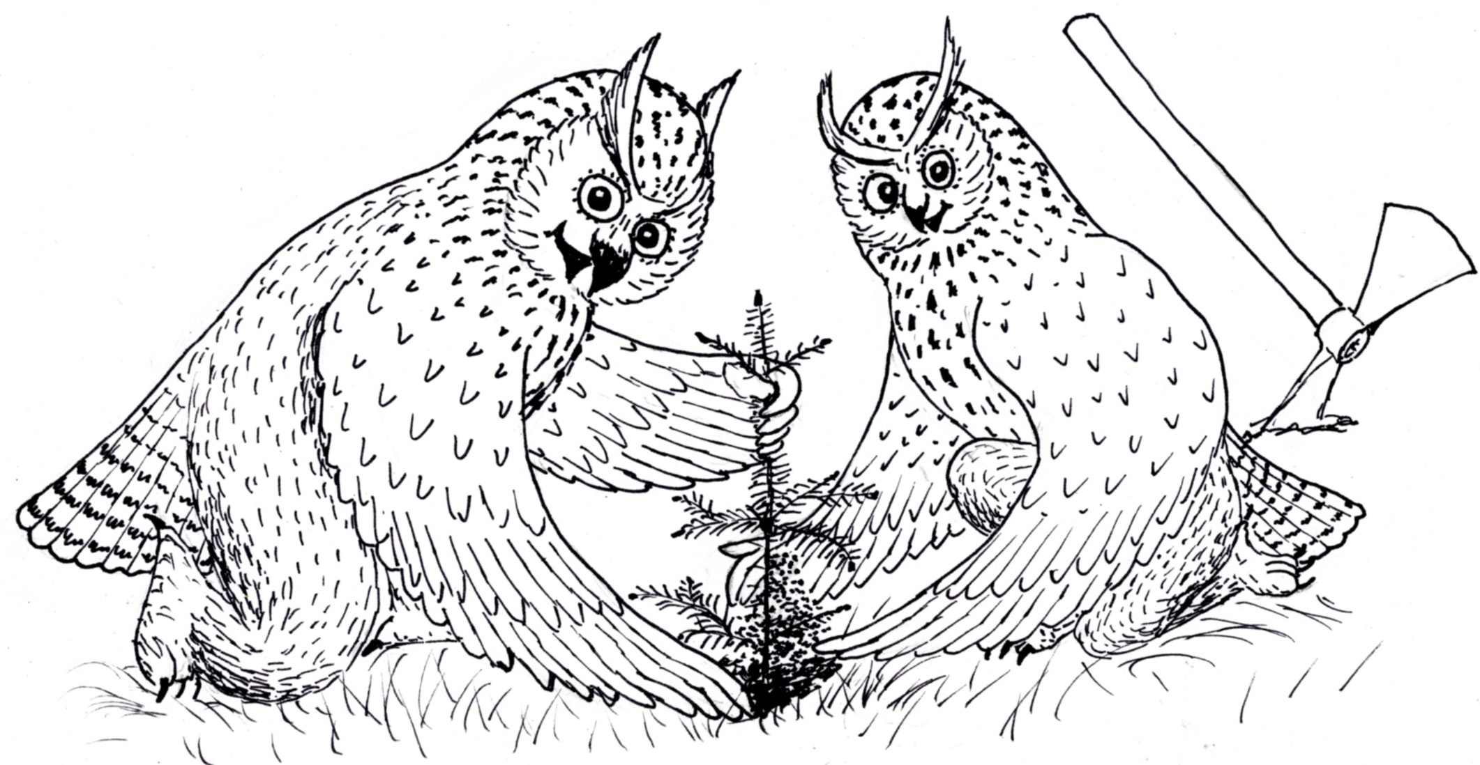 Bäumchenpflanz-Wochenende 2026! Bäumchenpflanz-Wochenende 2026!