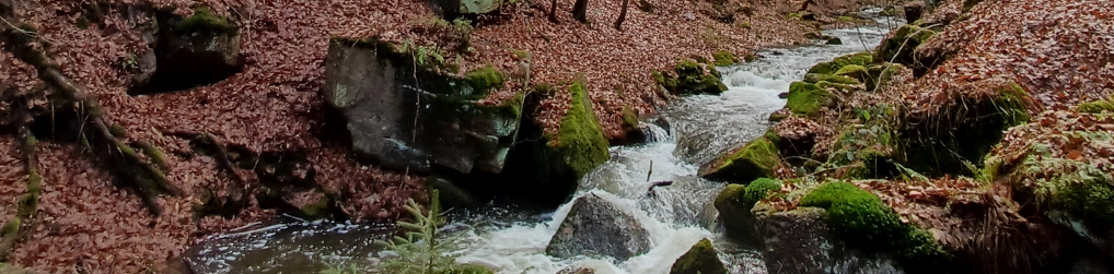 Natur im Osterzgebirge