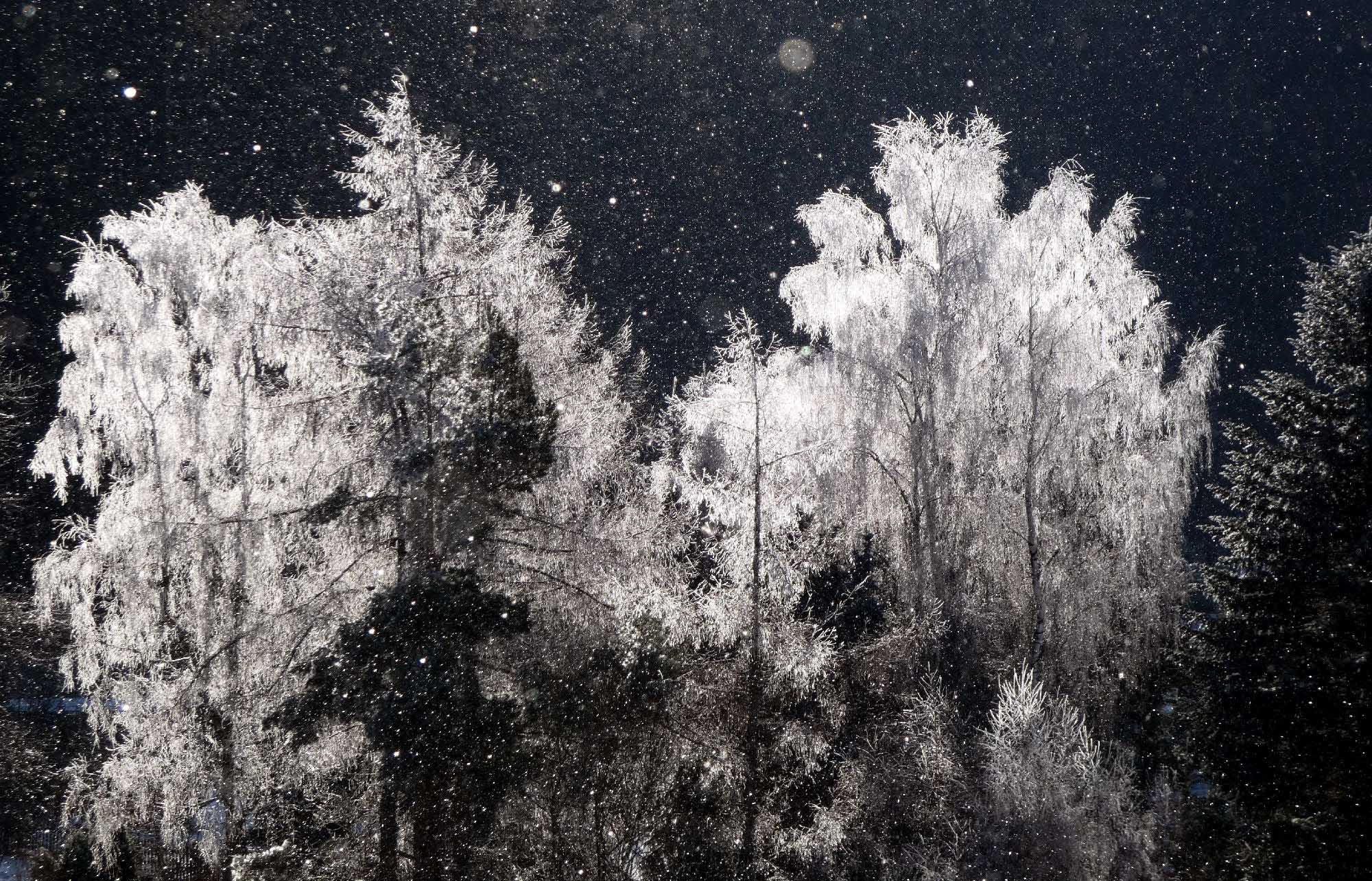 Wetterrückblick Februar 2026