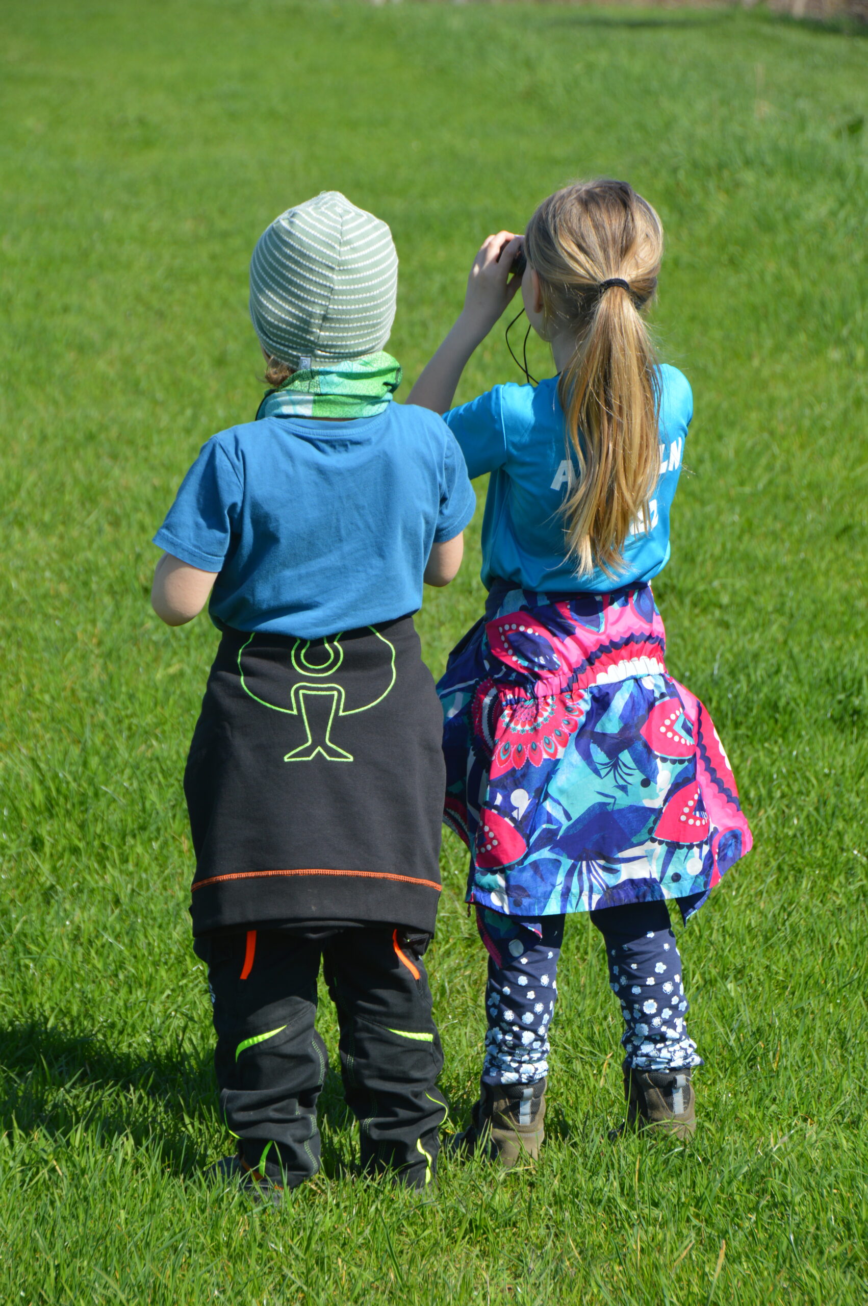 Praxistag der Jungen Naturwächter Gemeinsam stark für die Natur & das Miteinander – Fokus Rotmilan am 28. März 2026 in Freital/Tharandt