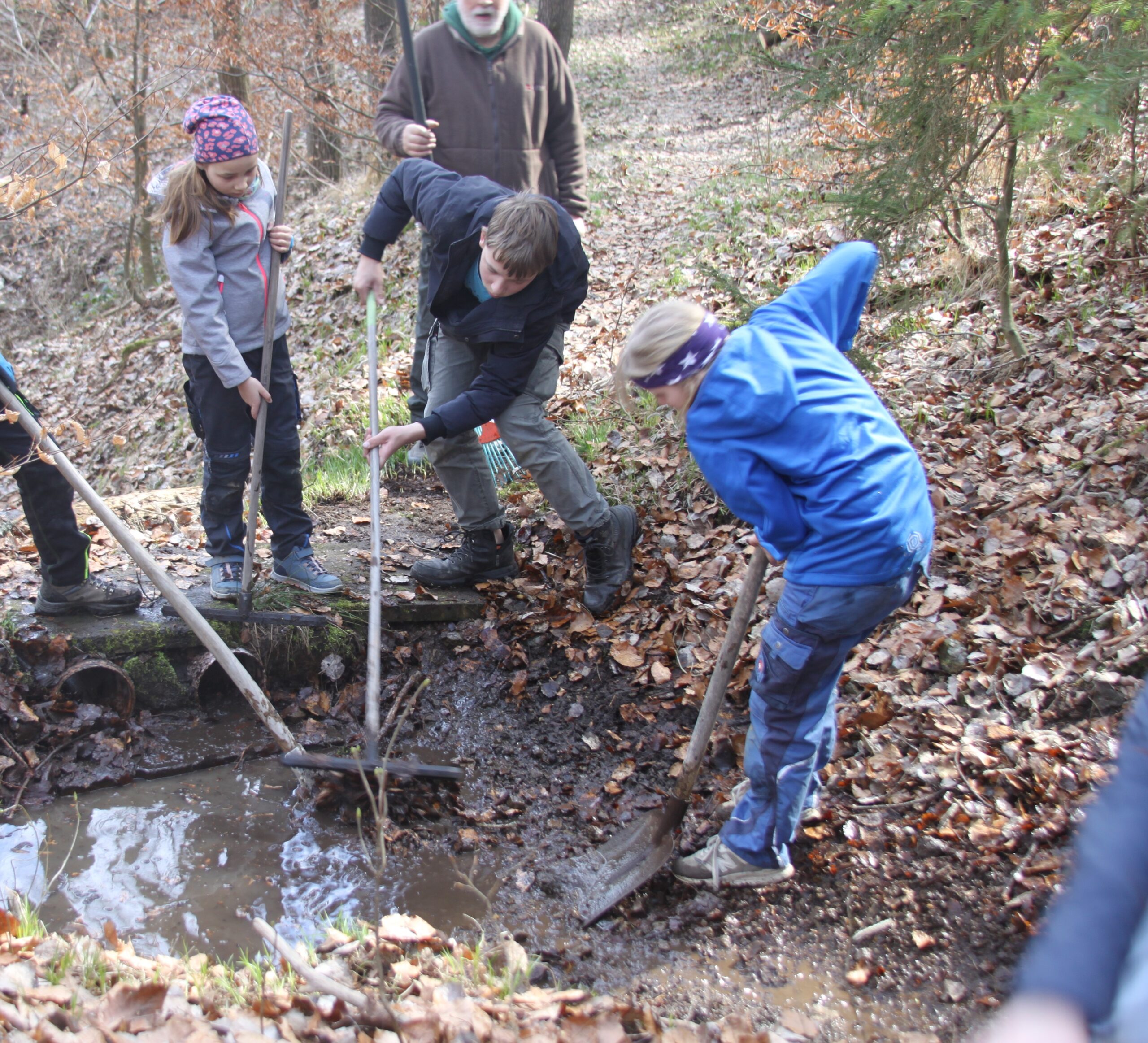 Praxistag der Jungen Naturwächter „Die Natur erwacht“ am 28. März 2026 auf dem Permahof (Hohnstein)