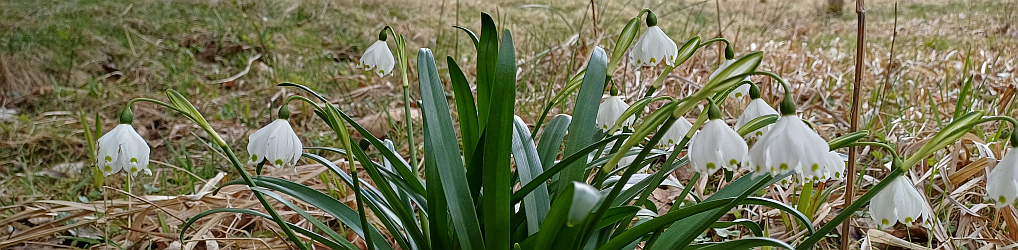 Natur im Osterzgebirge