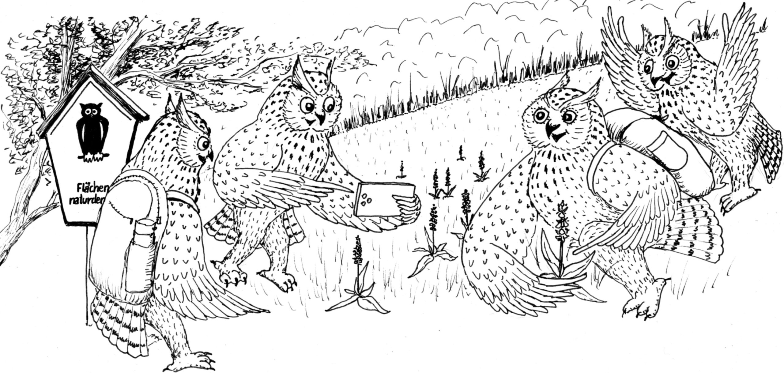 Orchideenblüten sind des Heulagerers Früchte der Arbeit