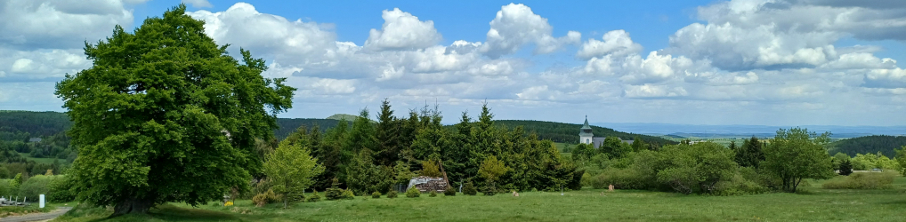 Natur im Osterzgebirge