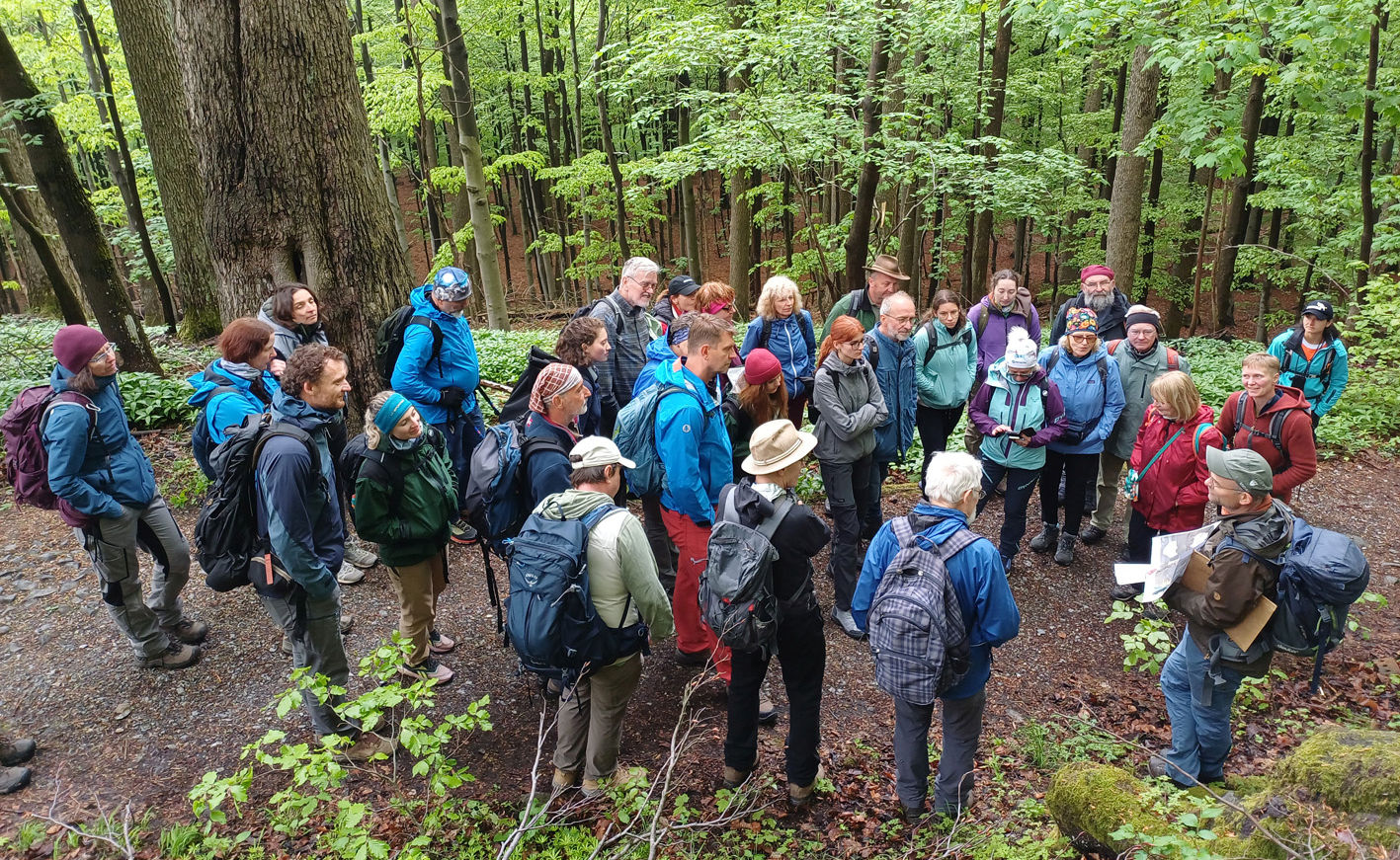 Exkursion „Baumdenkmale im Osterzgebirge“