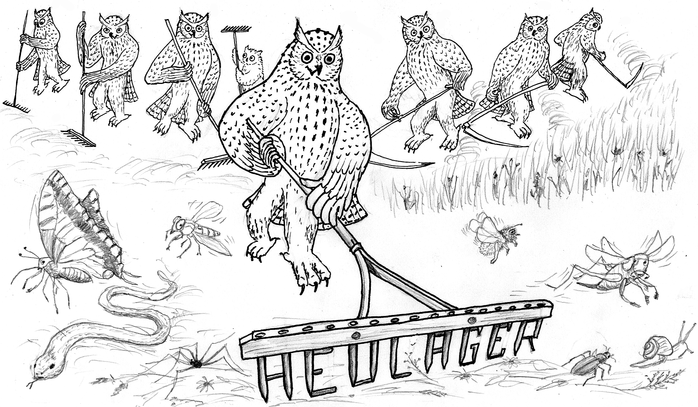 Auch dieses Jahr wieder – Sommer, Sonne, HEULAGER! 3. – 19.7.2026