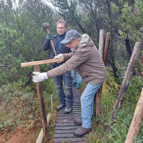 Arbeitseinsatz im Georgenfelder Hochmoor Arbeitseinsatz im Georgenfelder Hochmoor